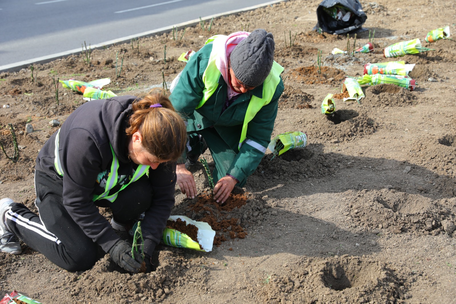 Începe campania de plantare de primăvară în municipiul Constanța