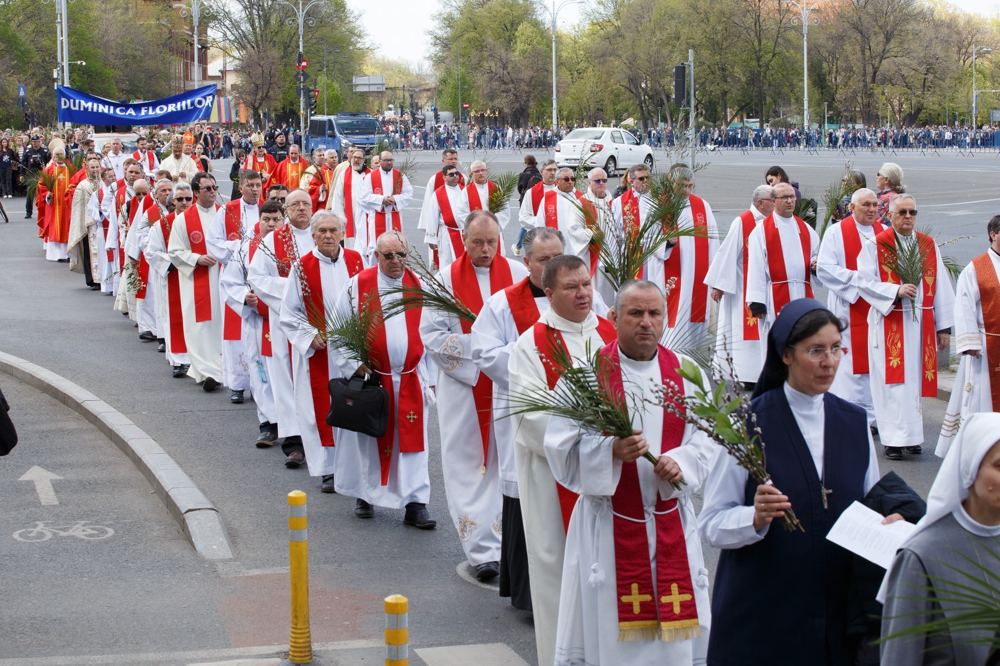 Astăzi sunt Floriile catolice: Deschiderea săptămânii mari și tradițiile unei sărbători profunde