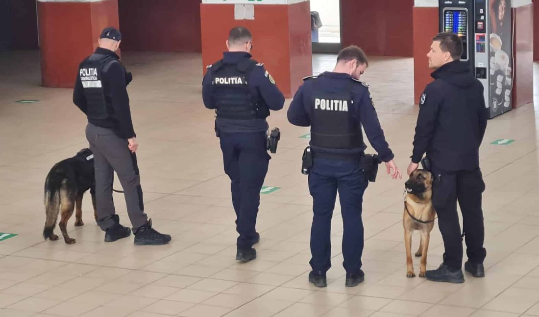 Control de amploare în trenuri și gări din județul Constanța. Sute de persoane verificate de polițiști