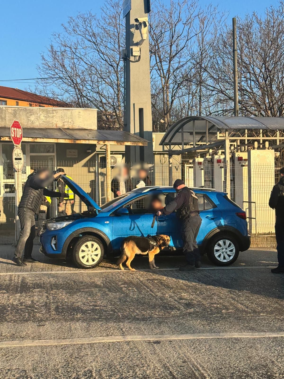 Mega-acțiune în porturile Constanța și Constanța Sud Agigea! Sute de persoane controlate, permise suspendate!