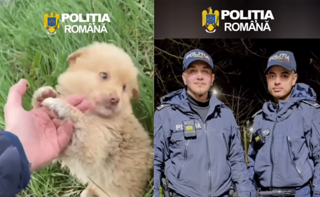 Gest de suflet la Cernavodă: Doi polițiști au transformat o misiune de rutină într-o salvare emoționantă!