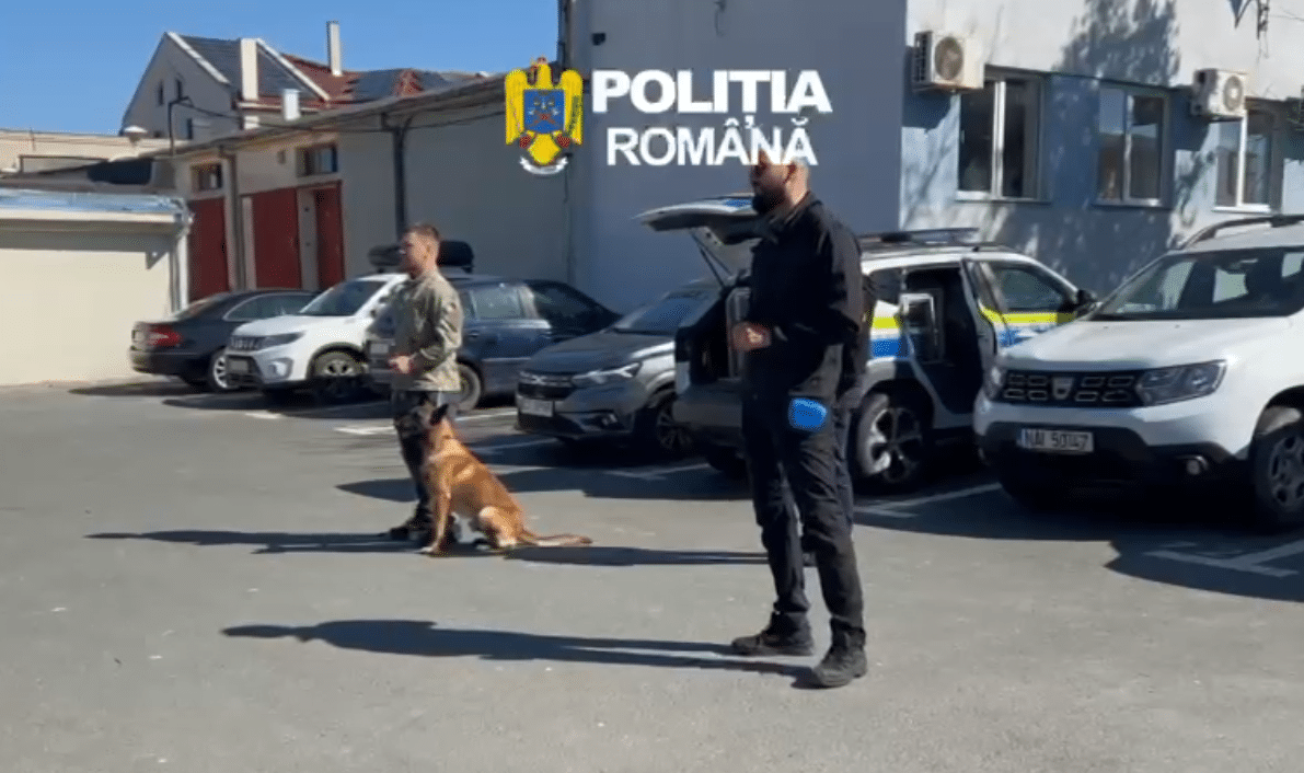 Zi captivantă la IPJ Constanța: Elevii au explorat meseria de polițist