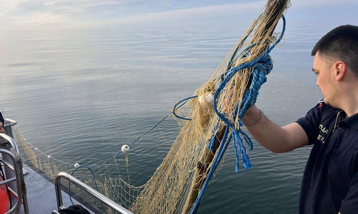 Sturioni salvați în Marea Neagră. Polițiștii de frontieră au descoperit plase ilegale de pescuit