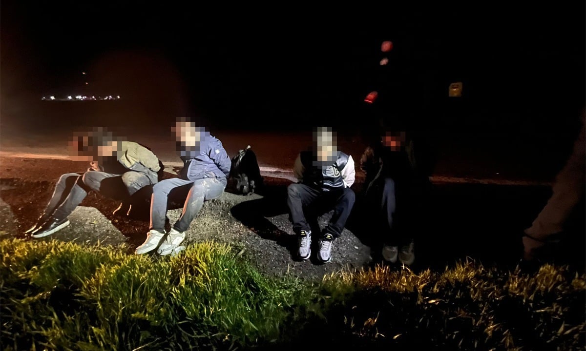 Cetățeni din Irak și Iran, prinși în timp ce încercau să intre ilegal în România