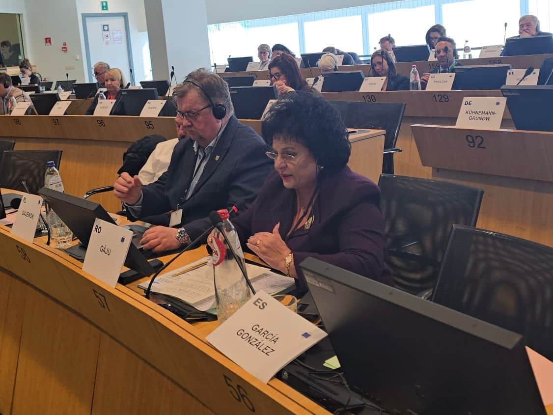 Mariana Gâju, mesaj ferm la Bruxelles: Trebuie să îi obligăm să plătească pentru poluare, atât în mediul rural, de unde vin eu, cât și în mediul urban