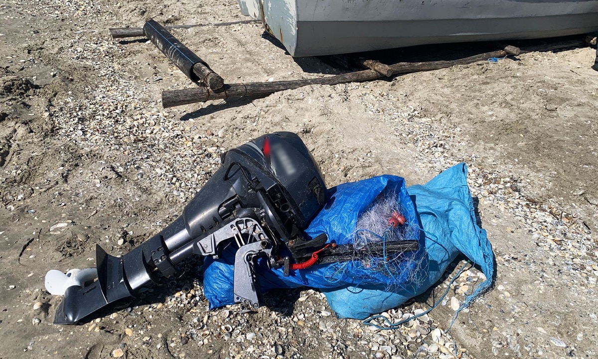 Patru sturioni salvați din plase ilegale în Marea Neagră. Acțiune a polițiștilor de frontieră din Tulcea
