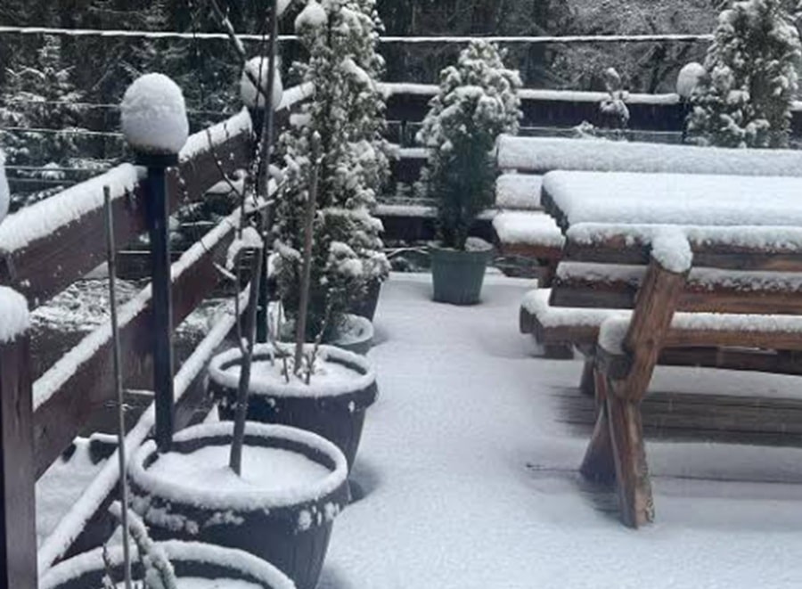 Iarna s-a întors în aprilie! Ninsoare pe mai multe  drumuri din România, utilajele de deszăpezire au intervenit de urgență