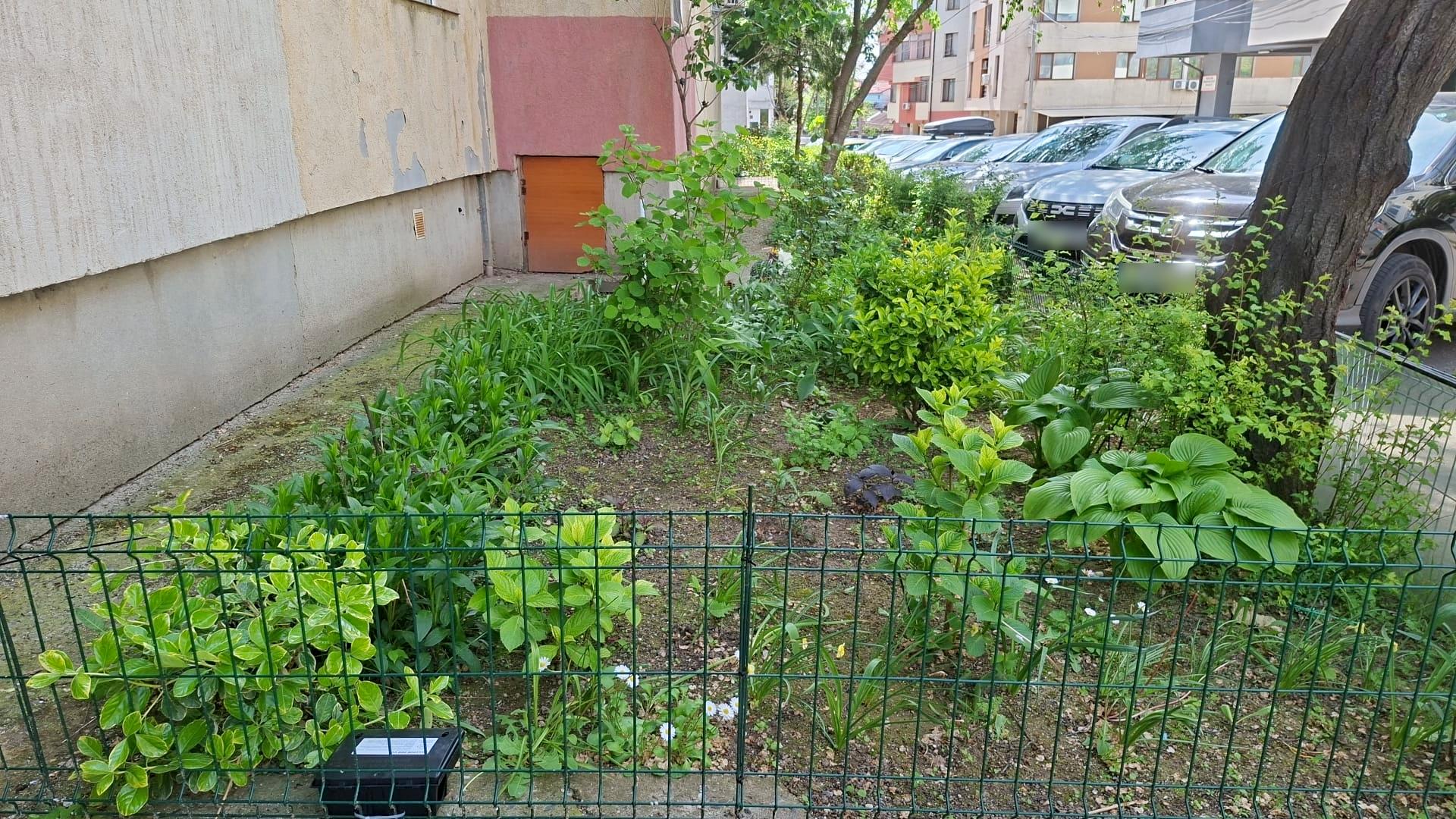 Deratizarea, sabotată în Constanța: stațiile amplasate dispar sau sunt vandalizate