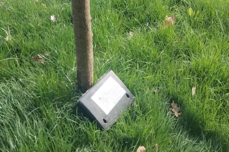Încep acțiunile de deratizare în municipiul Constanța și în stațiunea Mamaia 