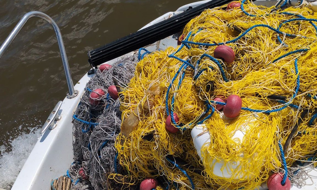 Acțiune a Gărzii de Coastă pe Dunăre: braconaj piscicol descoperit în zona Hârșova – Vadu Oii