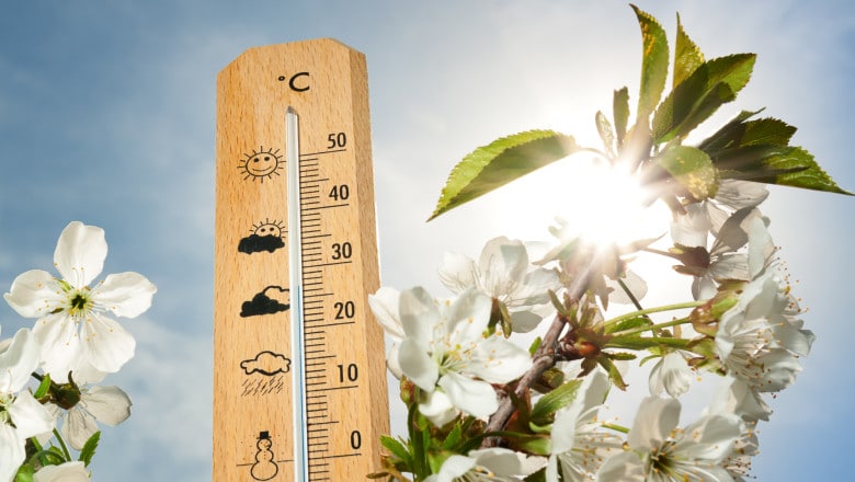 1 Mai rece în Dobrogea, cu valori sub normalul perioadei
