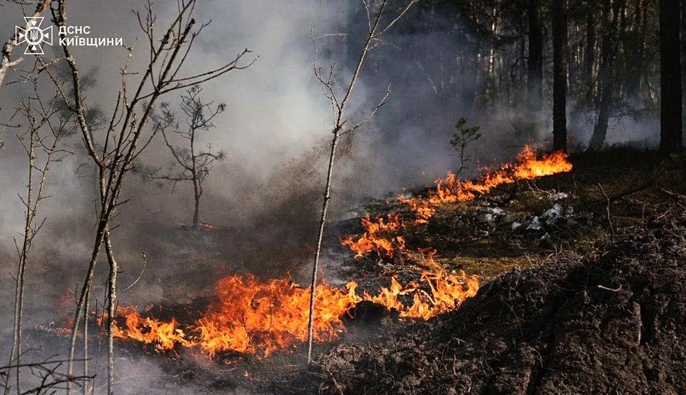Incendiu major în Zona de Excludere Cernobîl. Flăcările au cuprins peste 1.100 de hectare