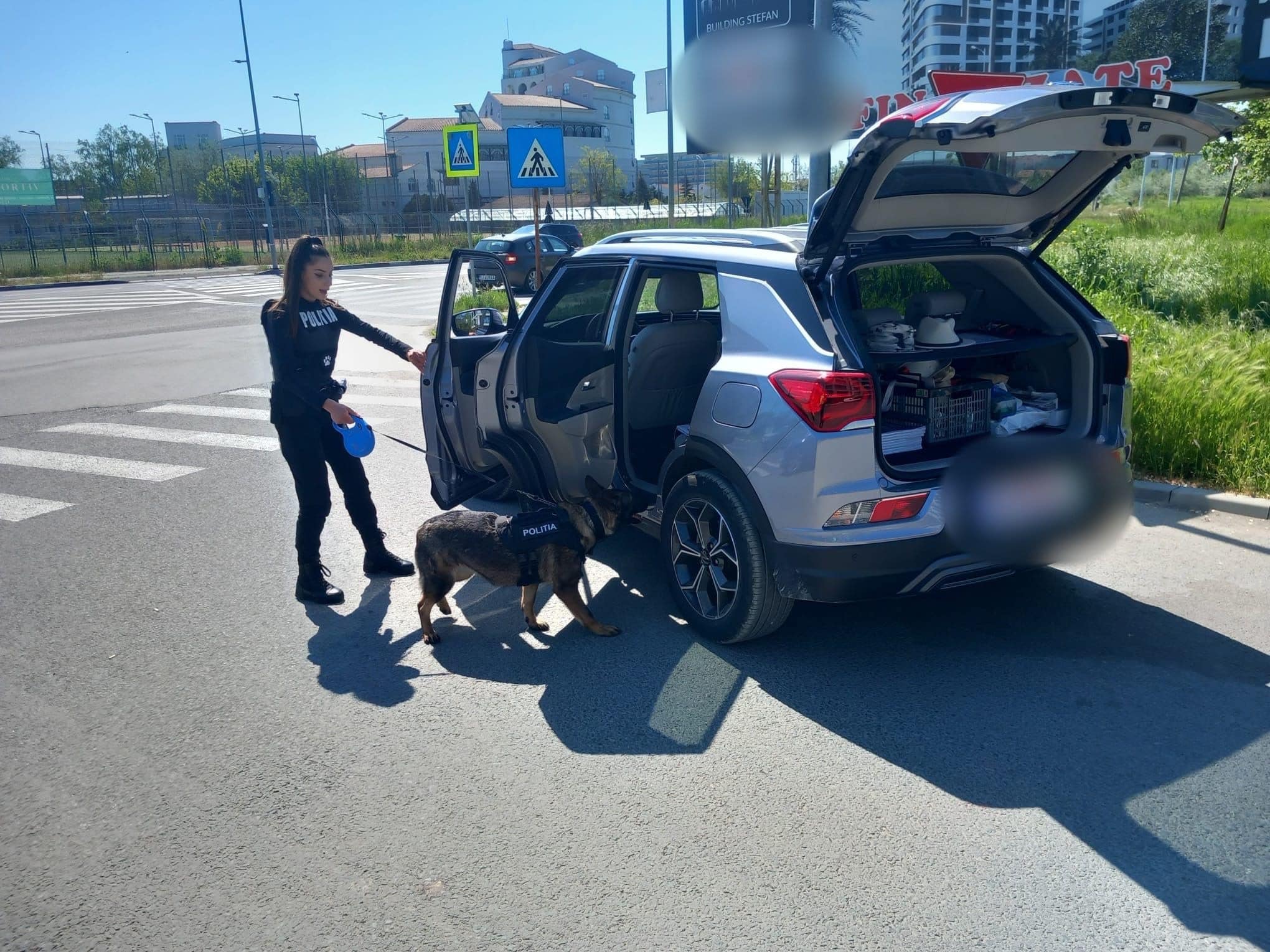 Năvodari: Operațiune de amploare a Poliției, zeci de sancțiuni aplicate