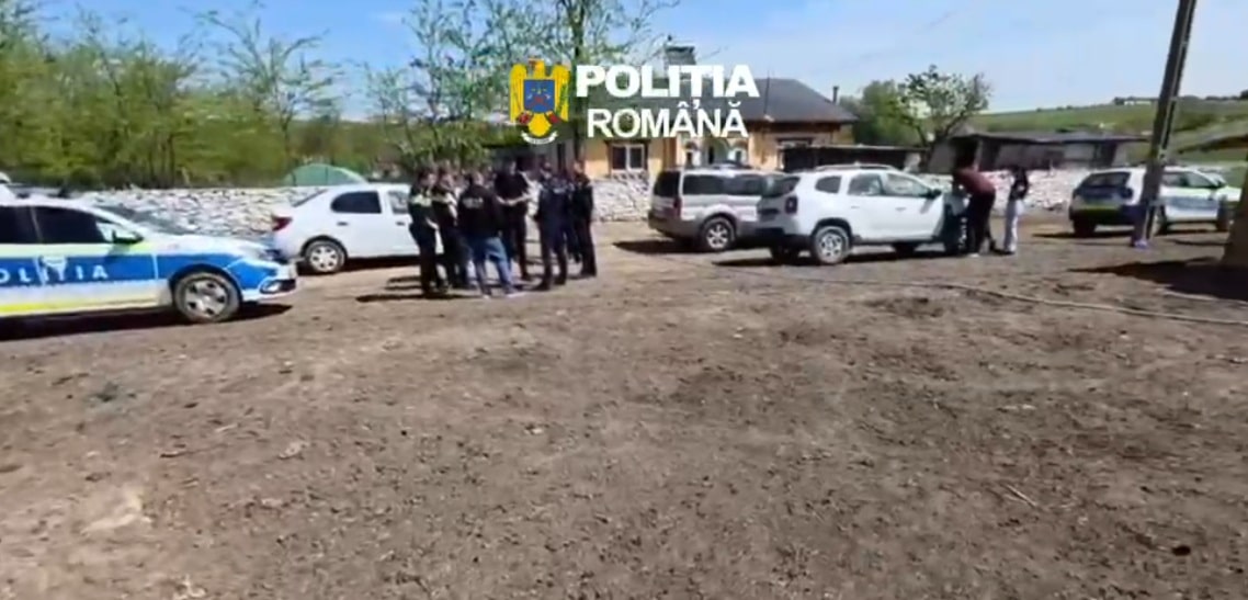 Razie în trei localități din județul Constanța pentru a verifica protecția animalelor. Amenzi de peste 44.000 de lei