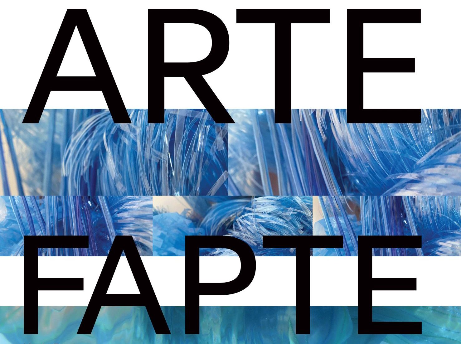 ARTEFAPTE la Muzeul de Artă Constanța