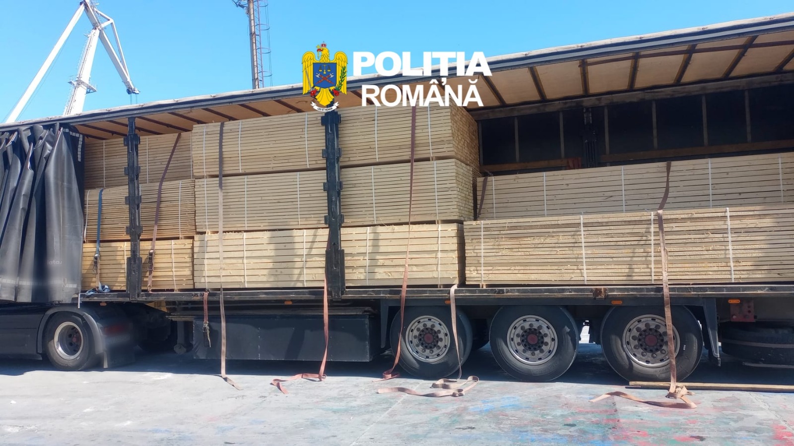 Transport ilegal de lemn descoperit în Portul Constanța Sud: 44 de metri cubi de cherestea, indisponibilizați