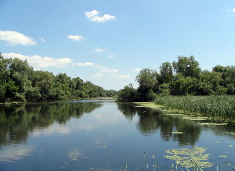 Ziua Dunării: Fluviul care unește Europa ajunge „acasă”, în Dobrogea, la Marea Neagră