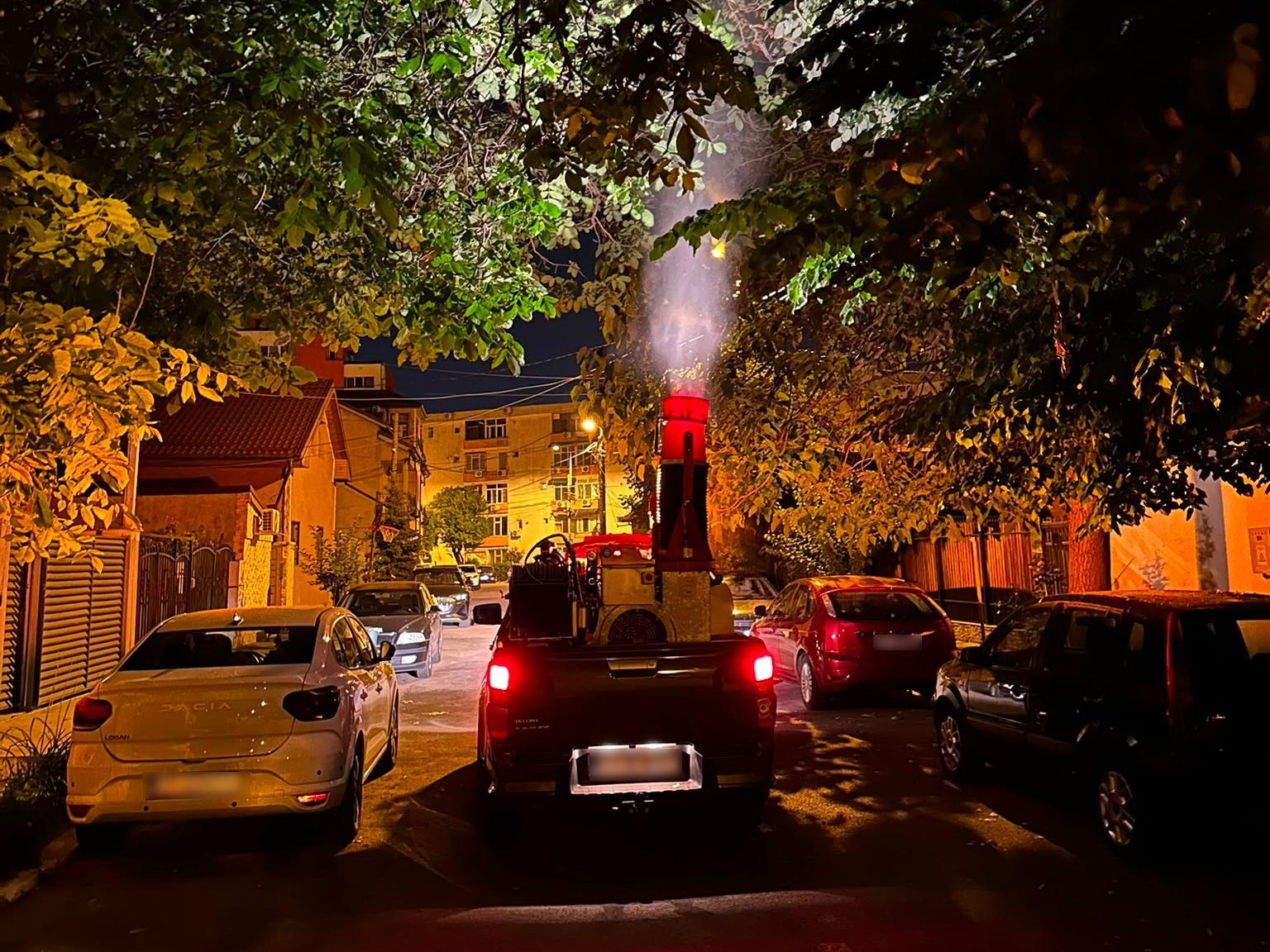Primăria Constanța: Noi intervenții pentru combaterea insectelor