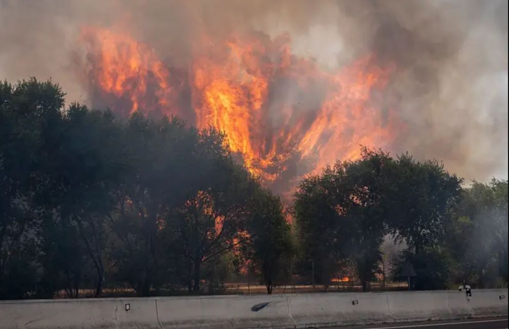 Europa, lovită de incendii fără precedent. Mii de pompieri luptă cu flăcările în Spania și Franța